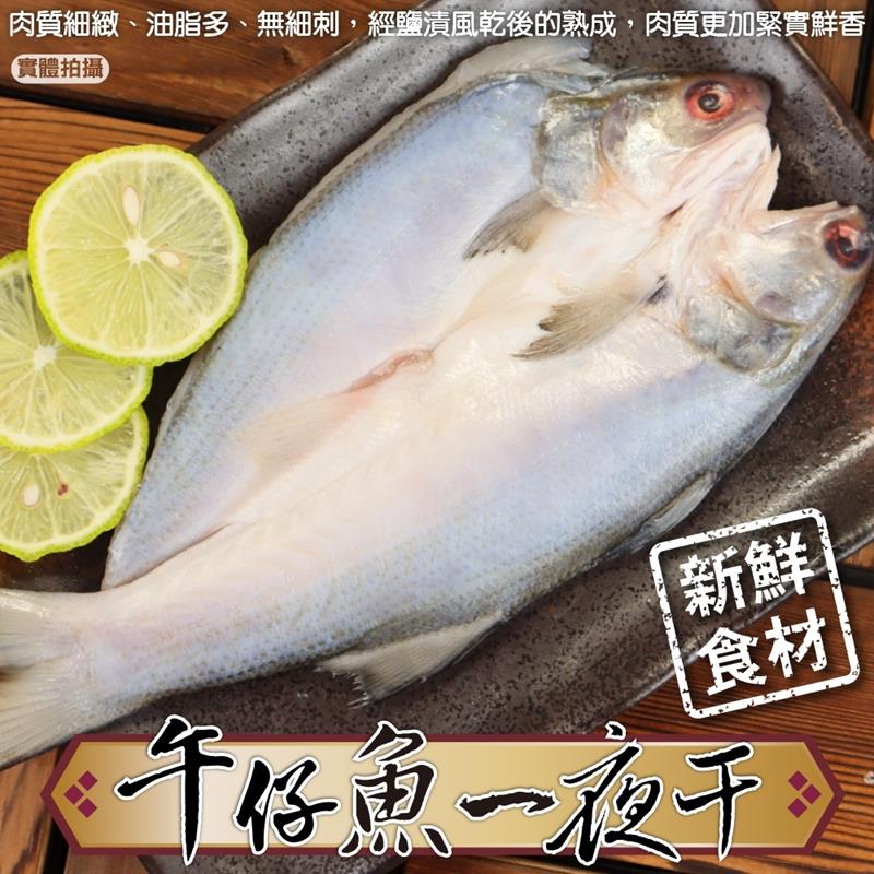 【海肉管家】台灣午仔魚一夜干XL號(共3尾_每尾約260-300g)
