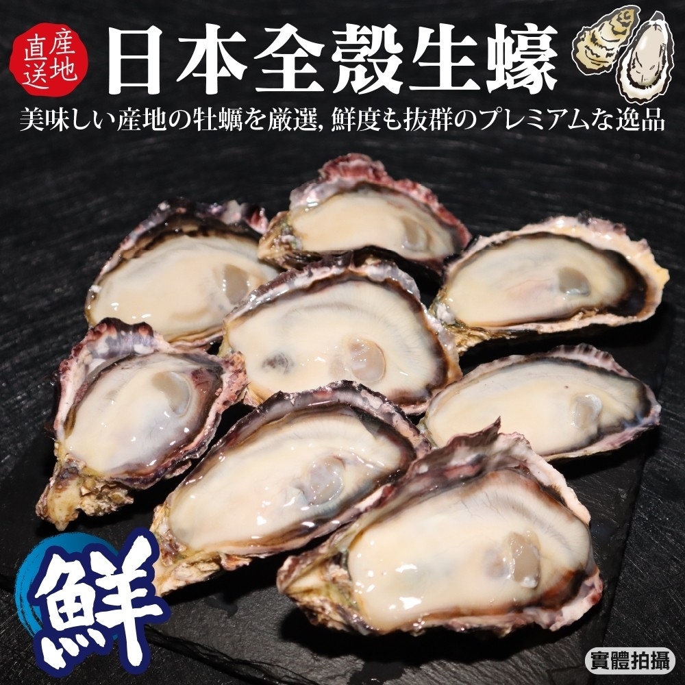 【海肉管家】日本廣島帶殼生蠔(1kg/約10-13顆)