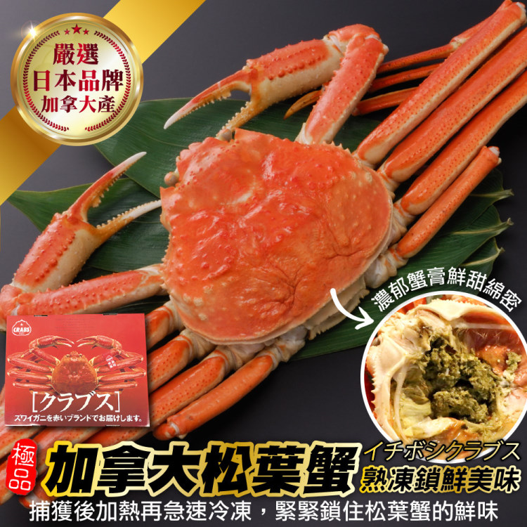 【海肉管家】日本品牌加拿大熟松葉蟹整隻(4隻組_350-400g/隻)