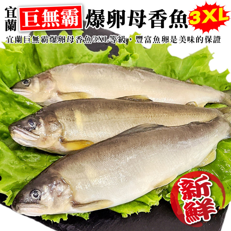 【海肉管家】宜蘭巨無霸3XL爆卵母香魚(1盒_3-5尾/920g/盒)