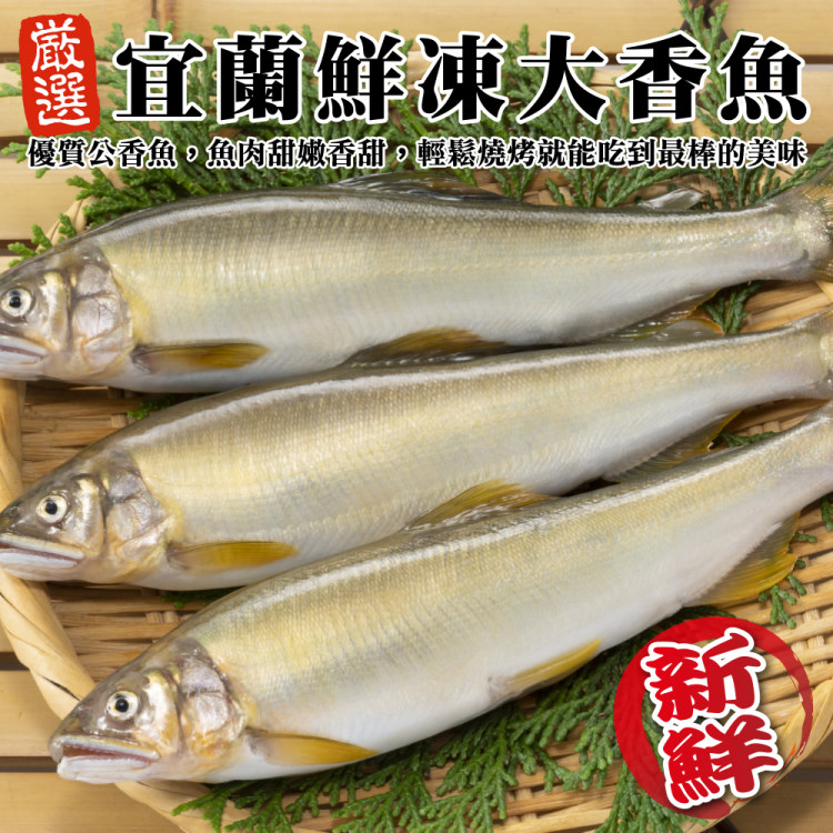 【海肉管家】宜蘭鮮凍大香魚(共16尾_8尾/920g/盒)