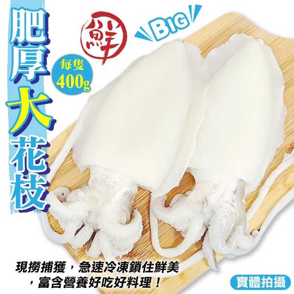 【滿777免運-海肉管家】特級鮮Q甜肥厚大花枝(1隻 400g/隻)