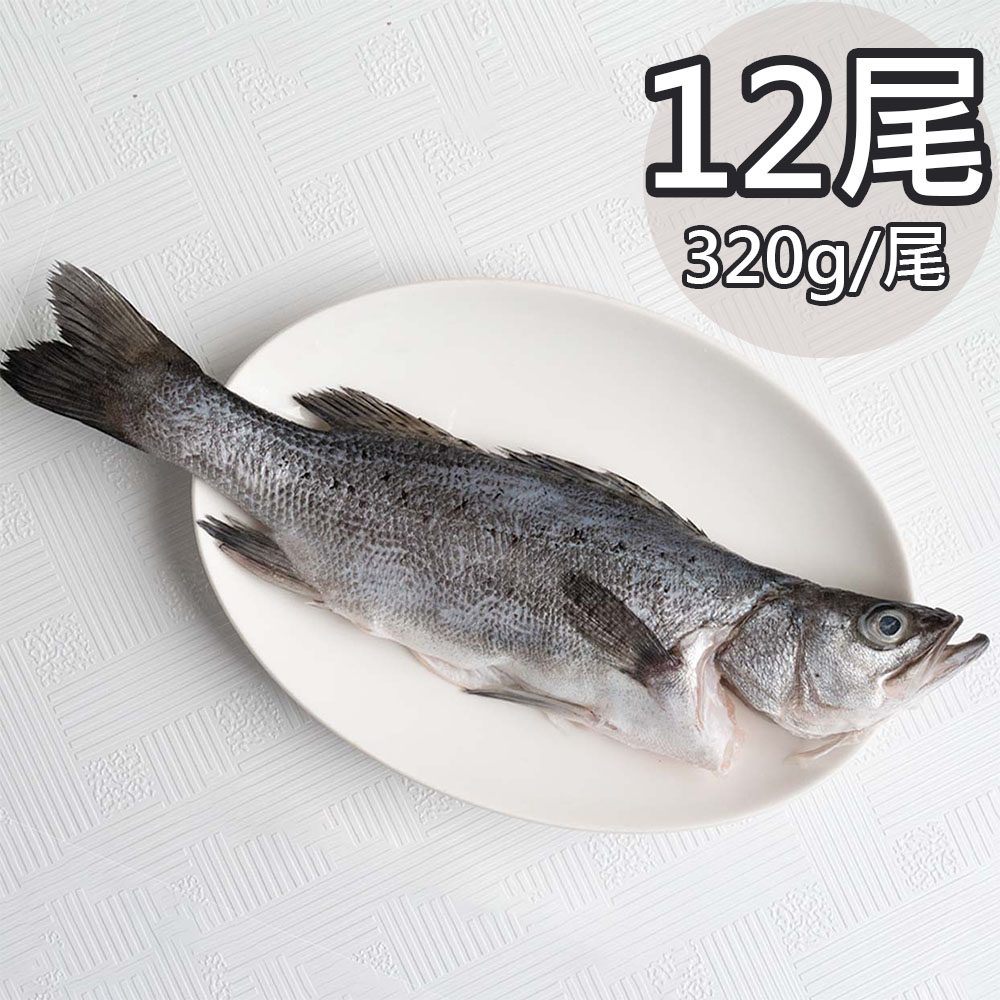 【天和鮮物】日本真鱸12尾(320g/尾)