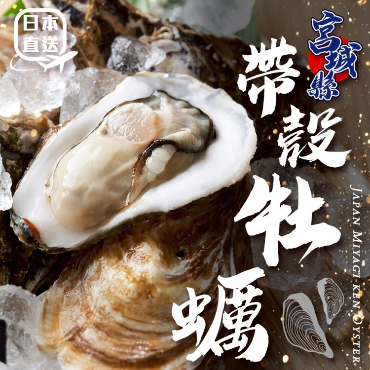 【海肉管家】日本宮城縣帶殼牡蠣(5kg/約40-55顆)