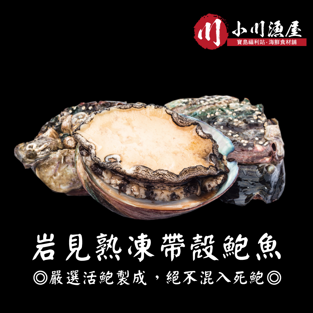 【小川漁屋】熟凍帶殼鮑魚9包（300g±10%/包8~11顆)