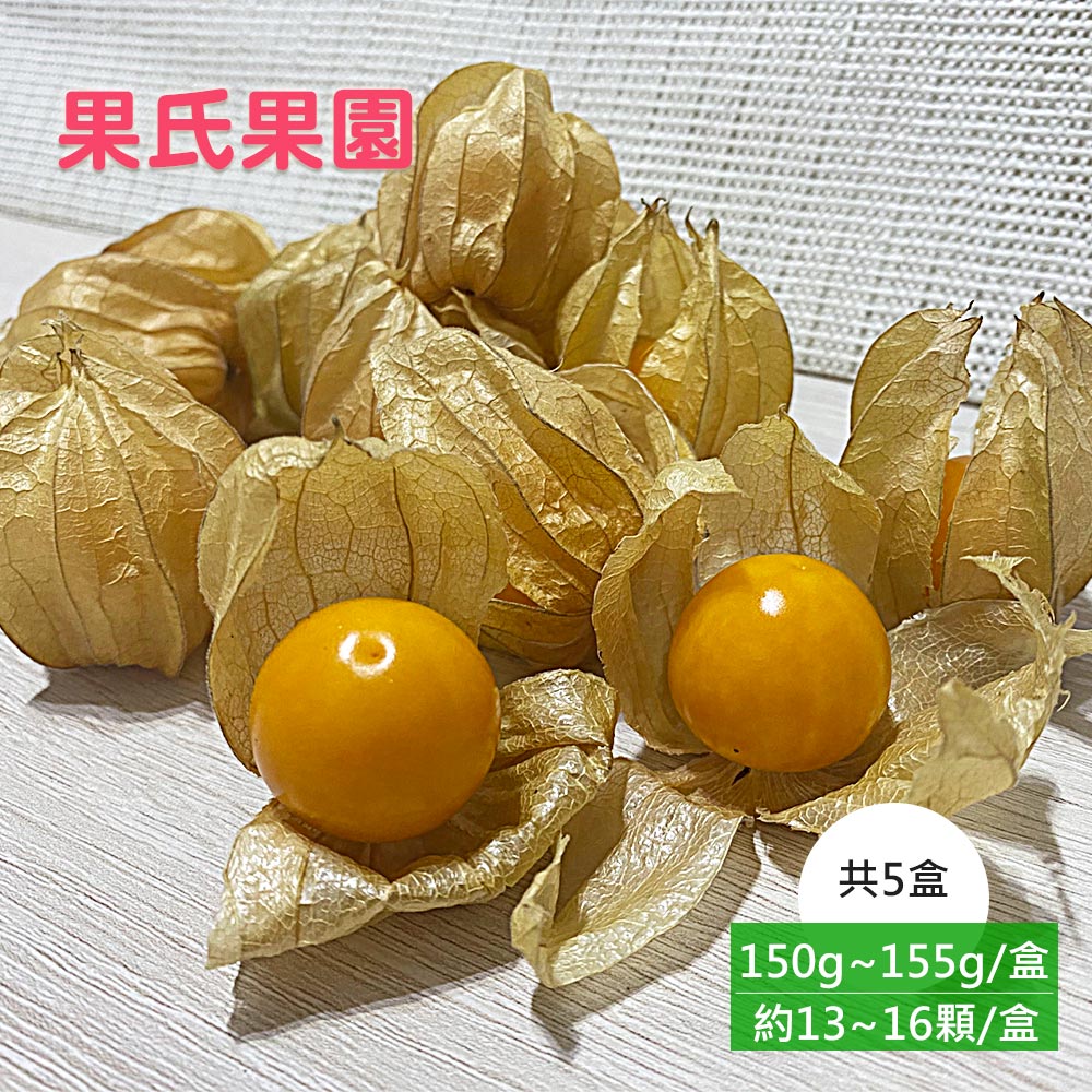 預購【果氏果園】彰化日本品種鮮採黃金莓x5盒(約150~155g/盒_約13~16顆/盒_燈籠果_產地直送)