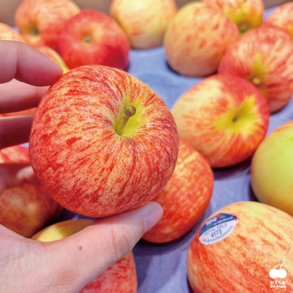 【舒果SoFresh】紐西蘭加拉Gala蘋果#150s (150顆/約17.5kg/原裝箱)