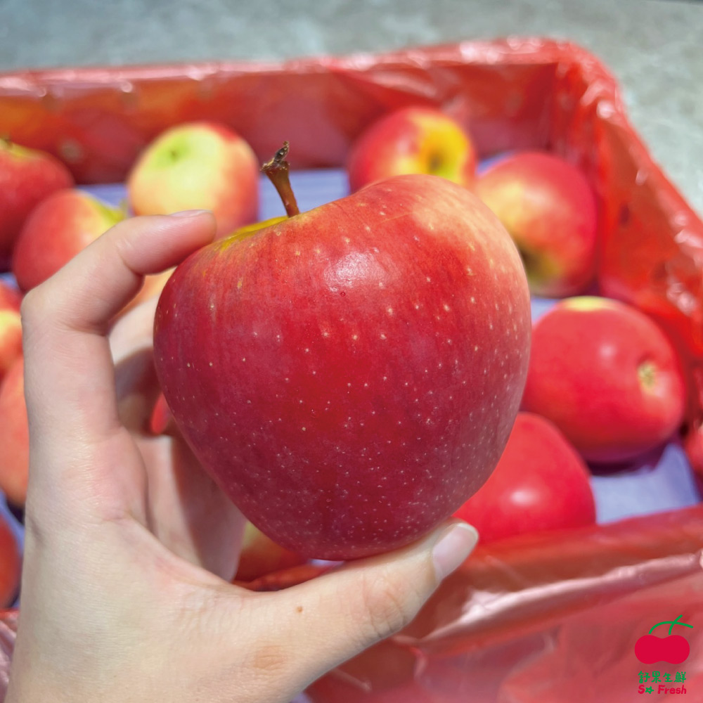 【舒果SoFresh】#30S紐西蘭Dazzle耀眼之星/炫麗蘋果 (30顆/約8.7kg/原裝箱)
