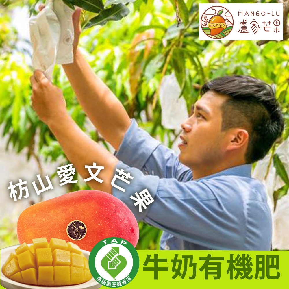 【盧家枋山芒果】銷日嚴選 寶島級 愛文芒果禮盒(2.5kg/6顆)