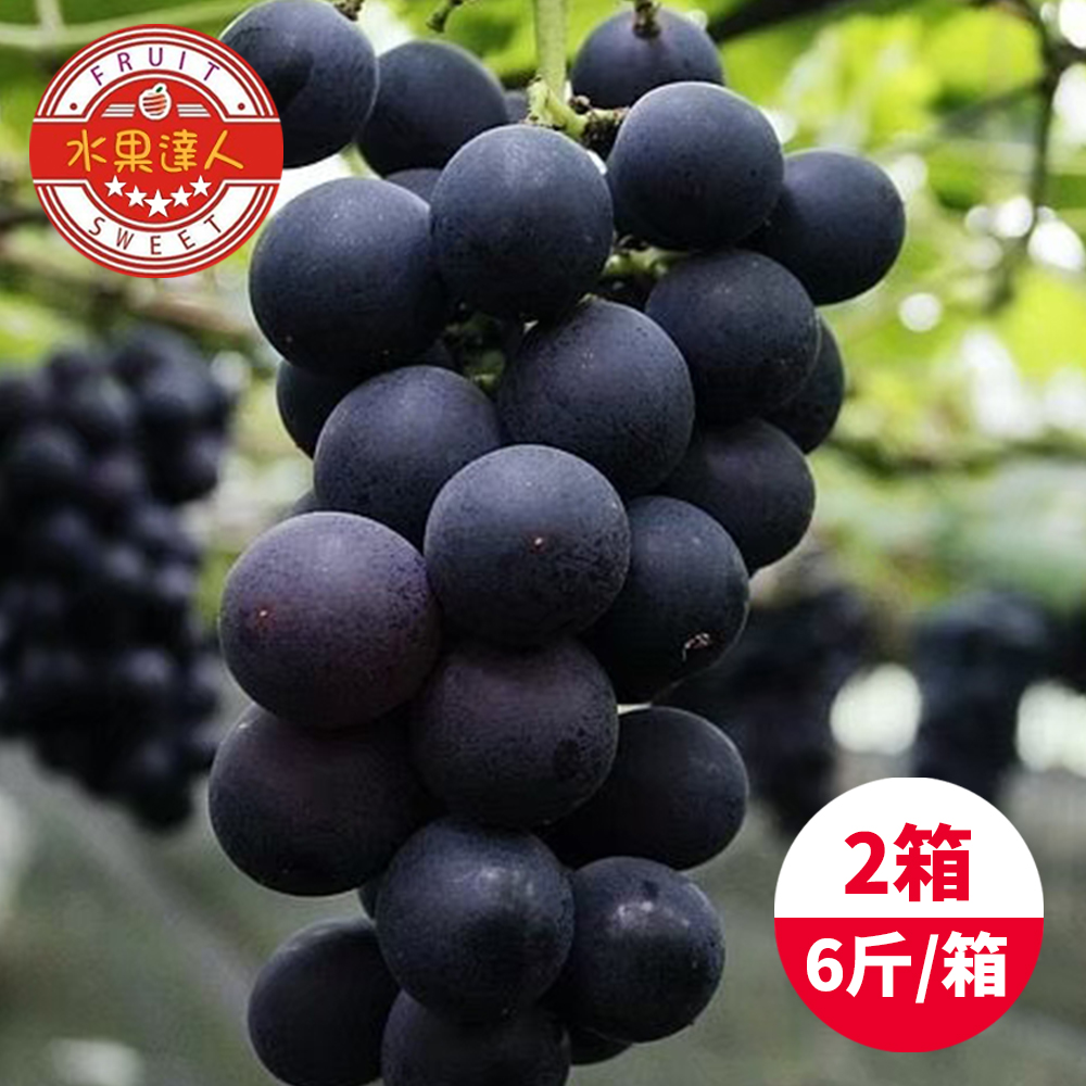 【水果達人】台灣一級巨峰葡萄x2箱(6斤±10%/箱)