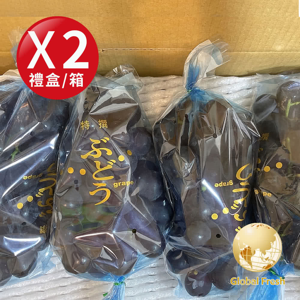 盛花園蔬果 南投信義鄉巨峰葡萄(2Kg x2盒)