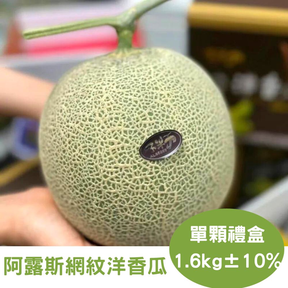 【RealShop 真食材本舖】日本頂級品種 阿露斯網紋洋香瓜 單顆裝禮盒