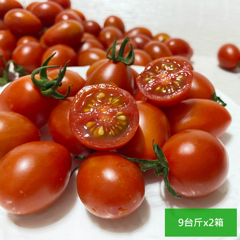 預購【高雄岡山嚴選】網室聖女小番茄9斤x2箱(產地直送)