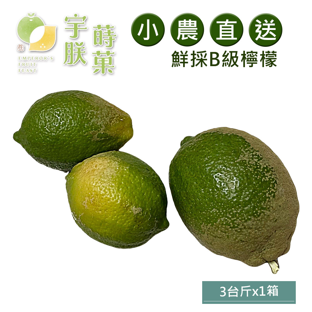 預購【宇朕蒔果】100%台灣農民直配B級有籽檸檬(3台斤/箱)