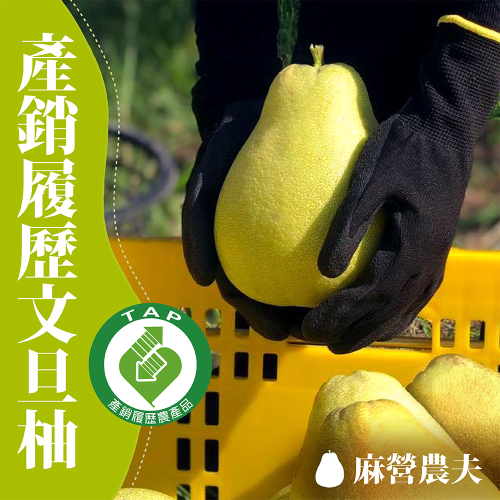 【麻營農夫】麻豆文旦柚禮盒6台斤x2(產銷履歷)