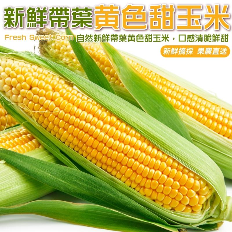 【果農直配】新鮮帶葉黃色甜玉米(10斤/箱)