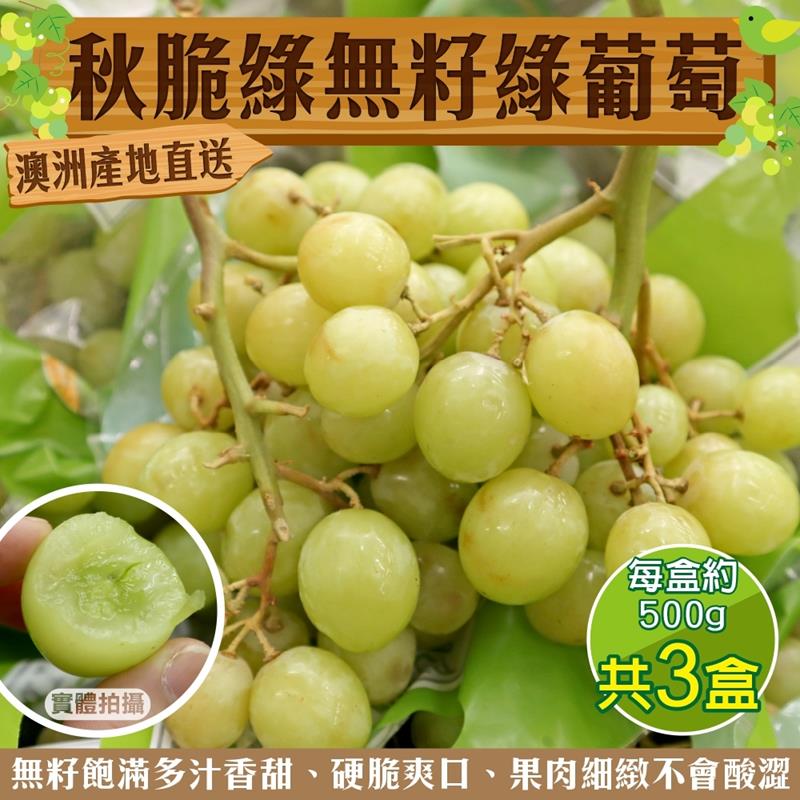 【WANG 蔬果】澳洲秋脆無籽綠葡萄(共3盒 500g/盒)