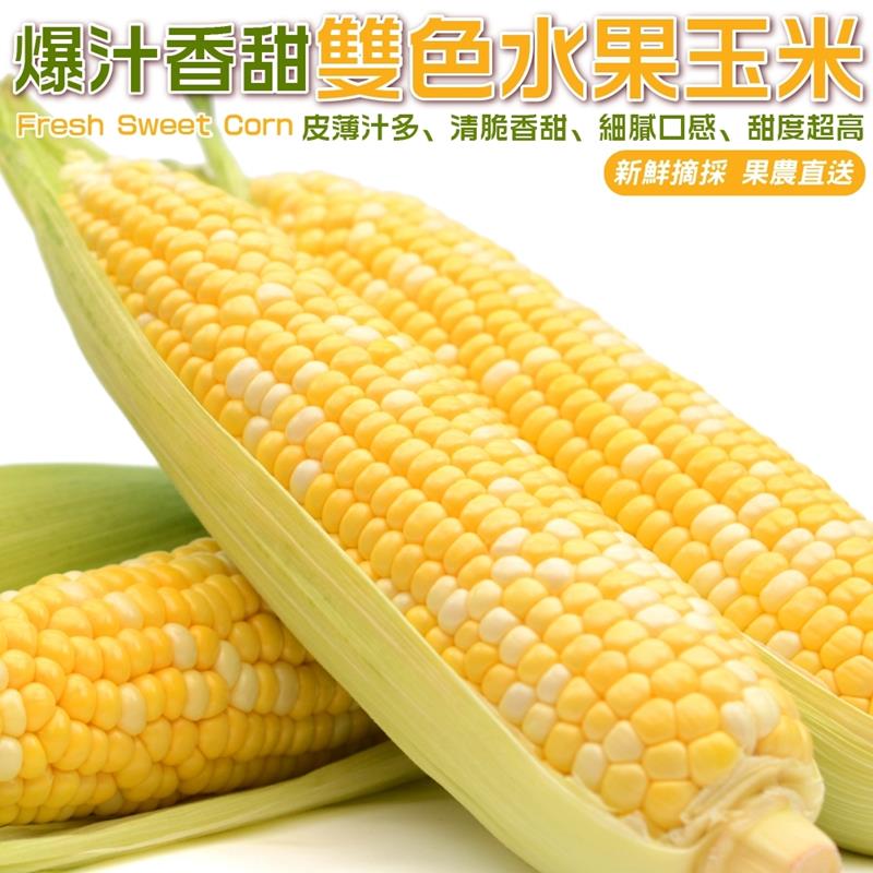 【果農直配】雙色水果玉米(5斤/箱)
