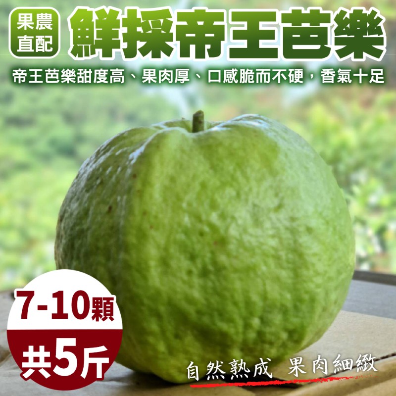 【果農直配】台灣嚴選帝王芭樂(5斤/箱)