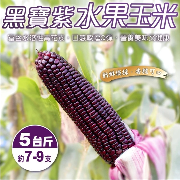 【WANG蔬果】黑寶紫水果玉米(5斤±10%)