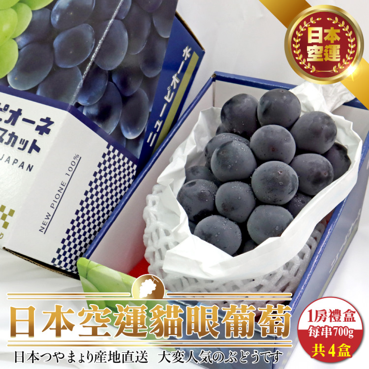 【WANG蔬果】日本空運貓眼葡萄禮盒(4串 700g/串)