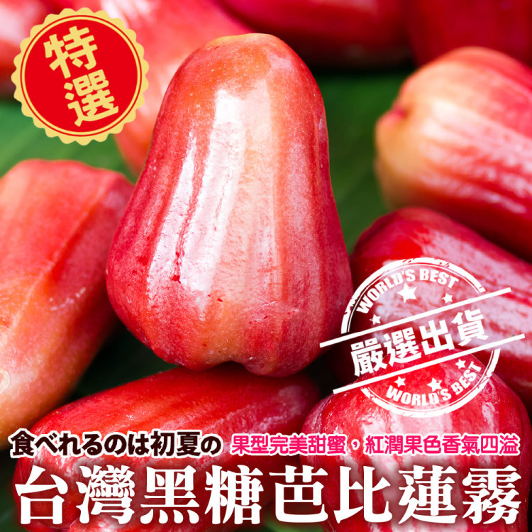 【果農直配】黑糖芭比蓮霧大果(9-11入/約3斤)