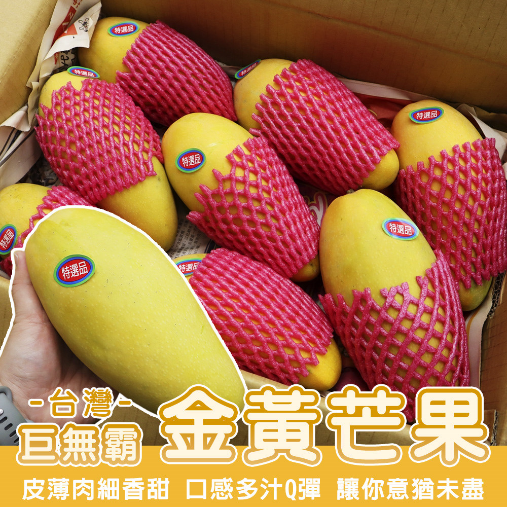 【WANG 蔬果】超大巨無霸XXL金煌芒果(原箱5~9入/約10斤)
