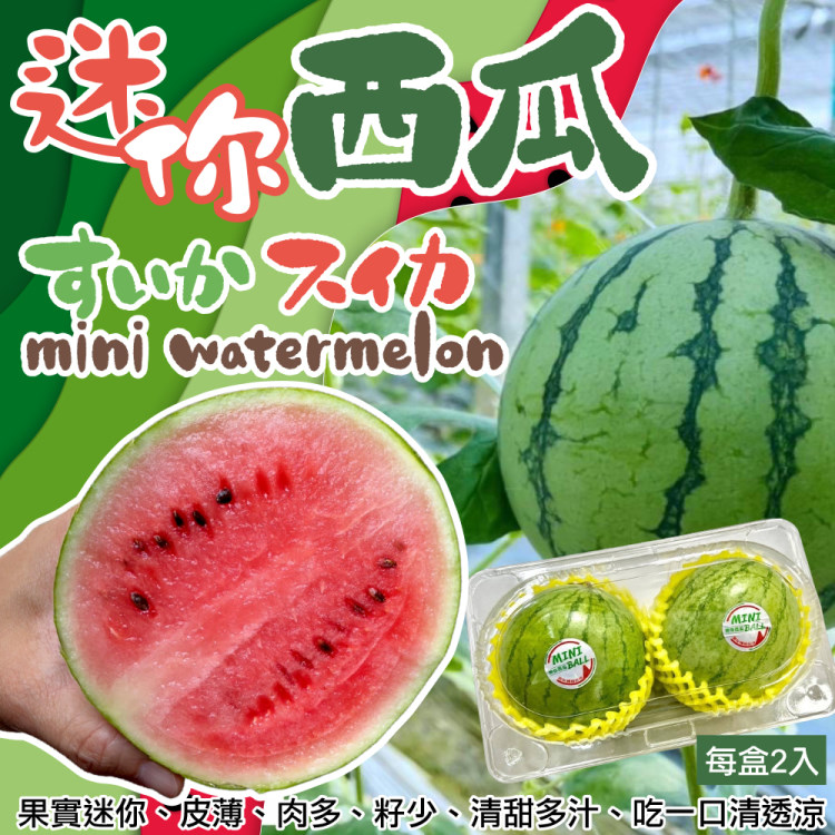 【WANG 蔬果】台南MINE BALL迷你粉嫩西瓜(共2顆_2顆/盒)