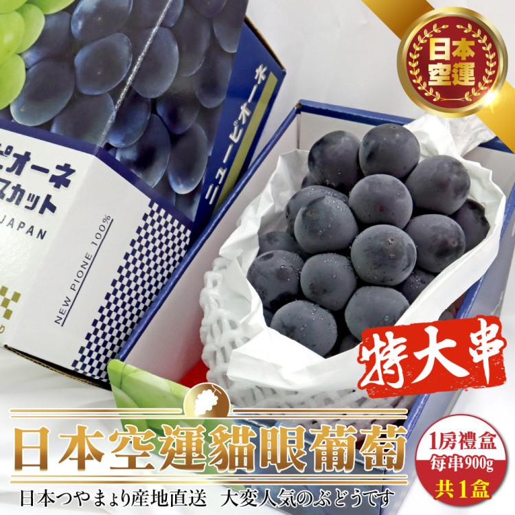 【WANG蔬果】日本空運巨峰貓眼葡萄特大串(1房禮盒 900g/串)