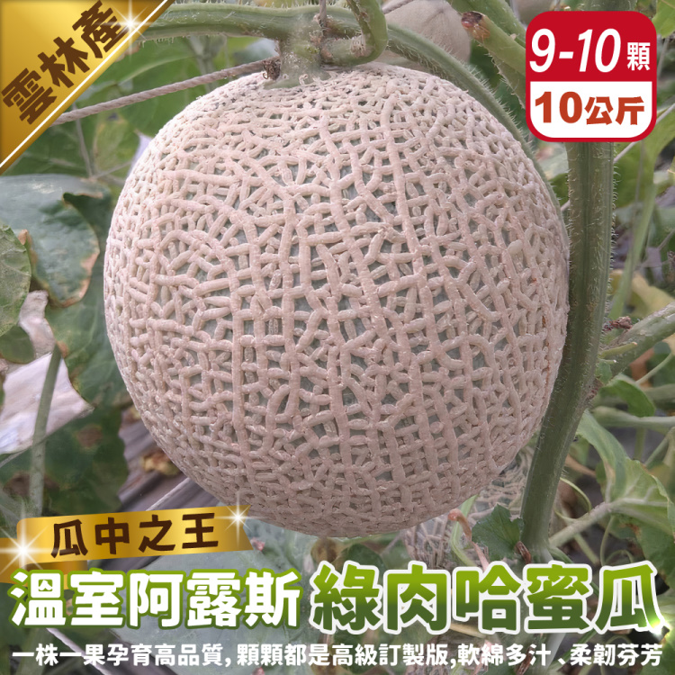 【果農直配】臺灣阿露斯綠肉哈密瓜(9-10顆/約10kg)