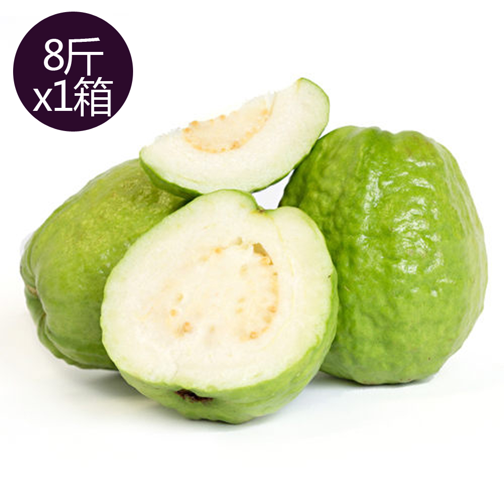 【果之家】高雄燕巢牛奶芭樂珍珠芭樂8臺斤(1箱/約9-13顆)