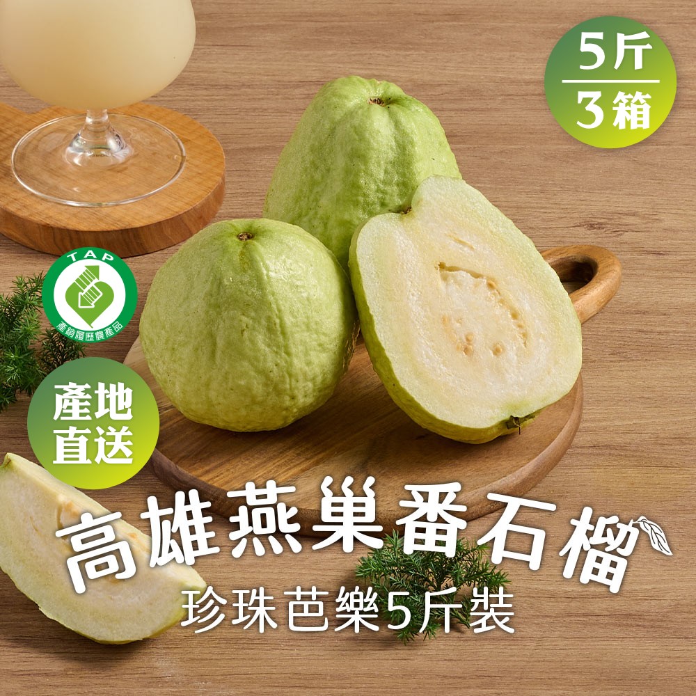 3箱 高雄燕巢番石榴5斤裝(約6~8顆/箱 產銷履歷 珍珠芭樂 產地直送 常溫)