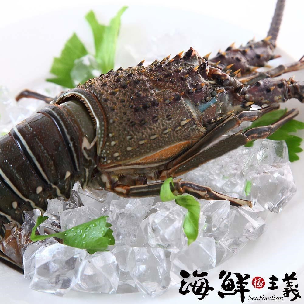 【海鮮主義】極鮮生凍青龍蝦(2隻/組;約300g/隻)