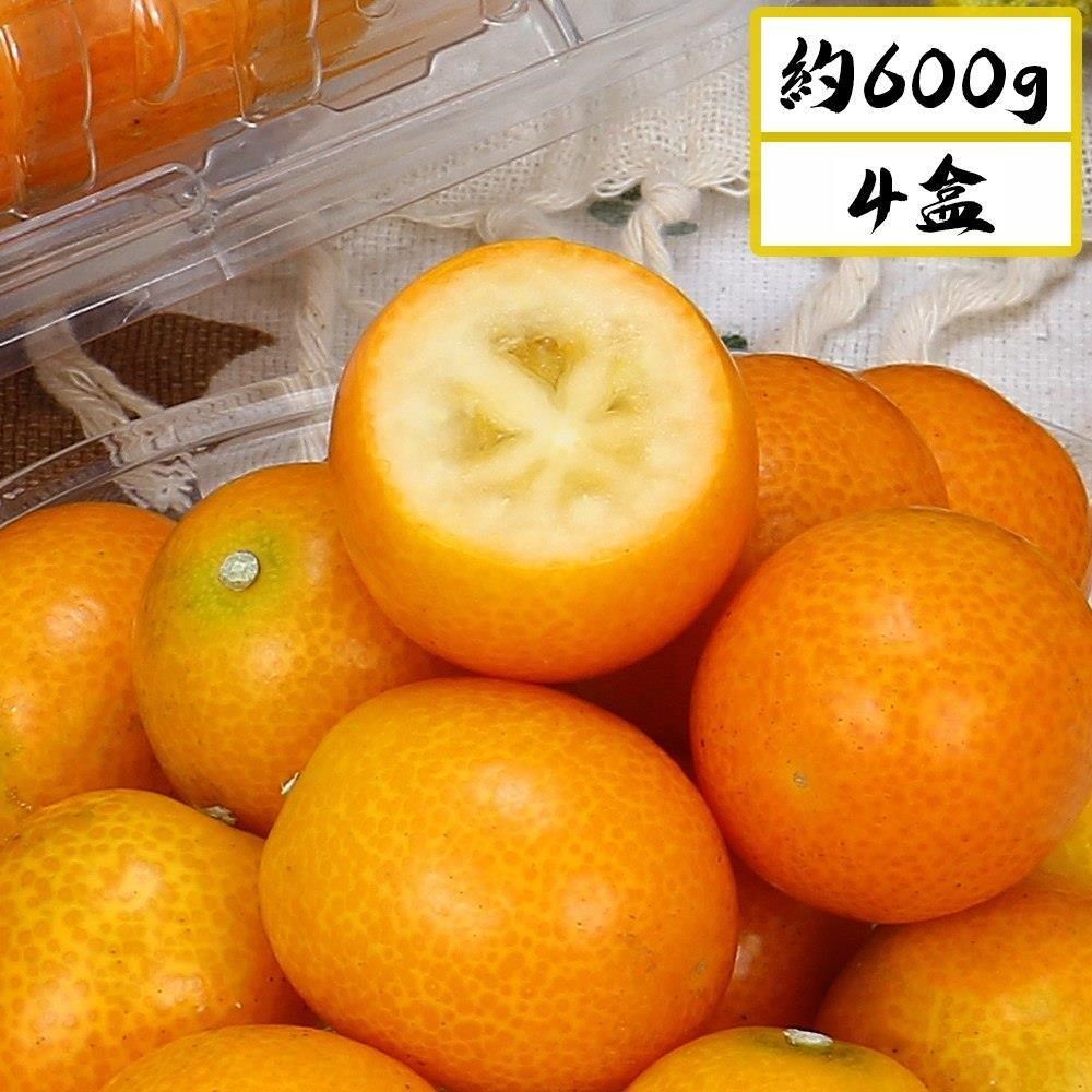 【愛蜜果】台灣產 日本金桔 甜橘 / 一口柑 4盒(約600克/每盒)箱裝