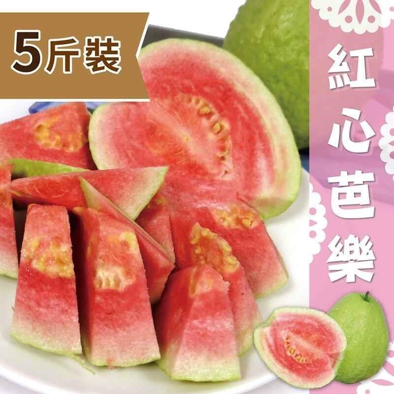 屏東高樹特產 精選紅心芭樂5斤裝/盒
