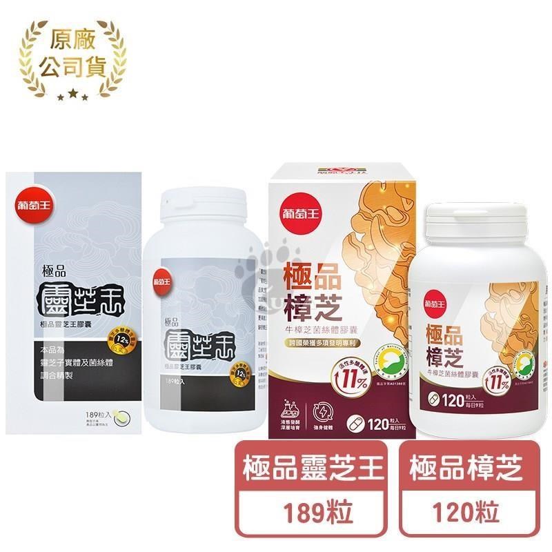 【葡萄王】極品靈芝王12% (189粒/瓶)+極品樟芝菌絲體膠囊 (120粒/瓶)