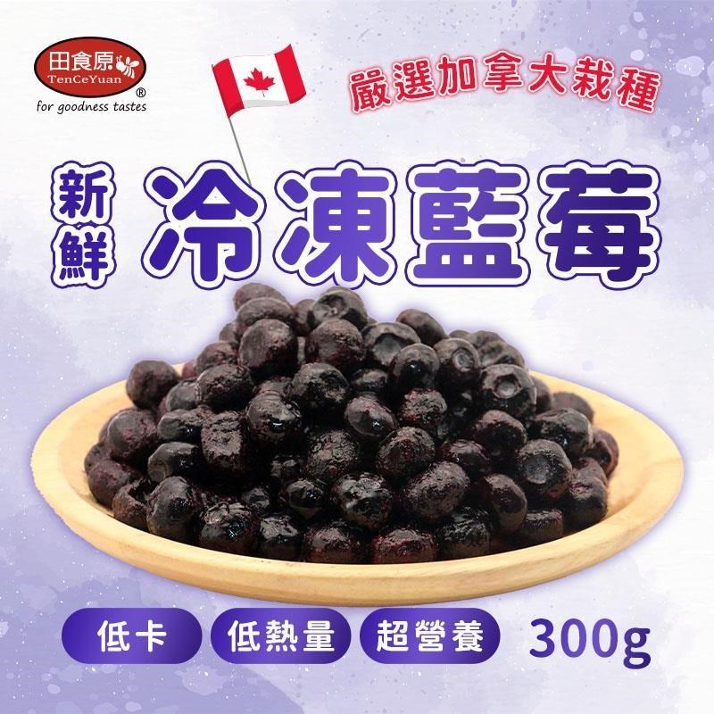 【田食原】新鮮冷凍藍莓 300g 解凍即食 天然水果 低卡 花青素