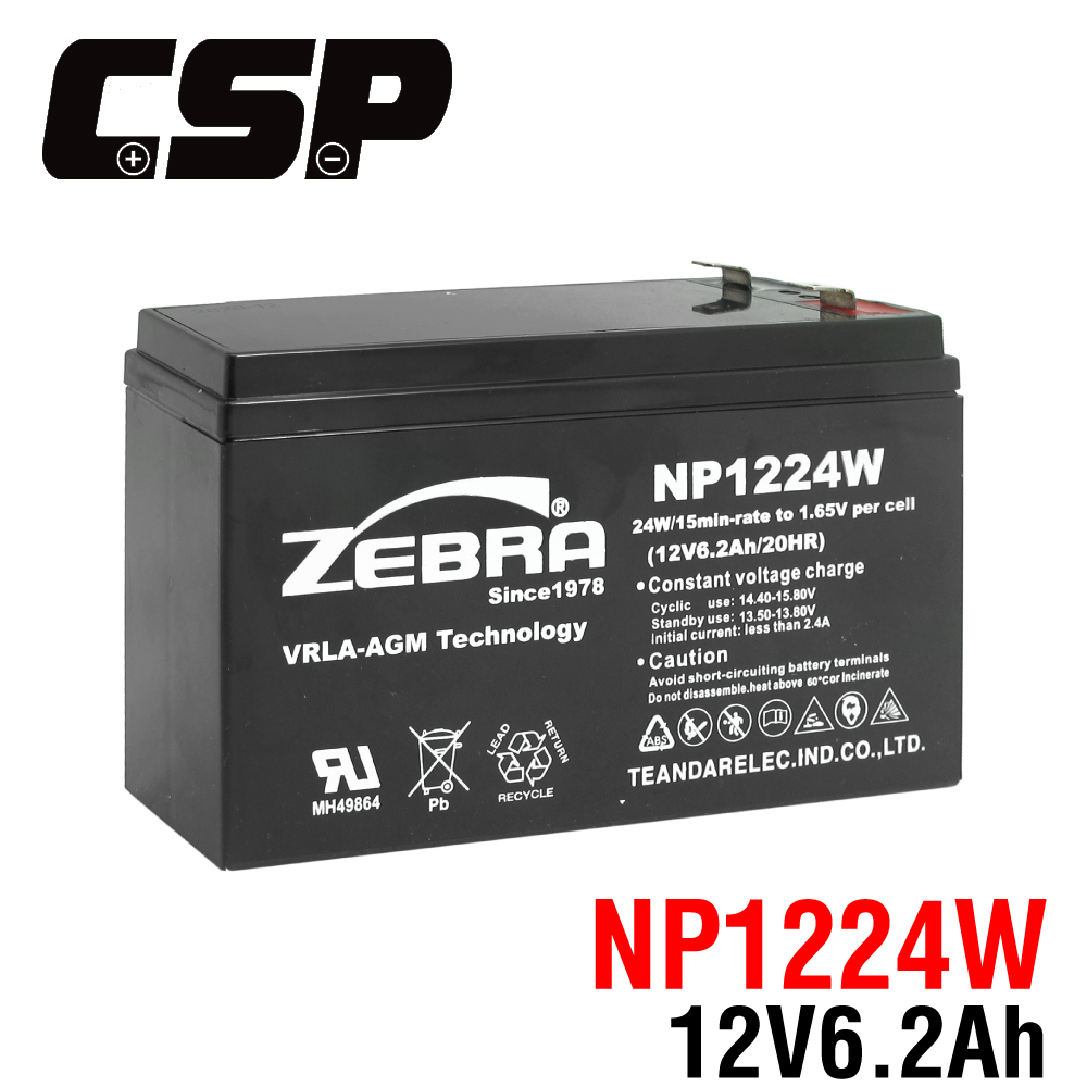 CSP NP1224W 12V-6.2AH 密閉式電池 UPS 不斷電系統 HR1224W CyberPower