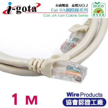 i-gota CAT6A超高速網路傳輸線 1M(RJ-MW6A-001)