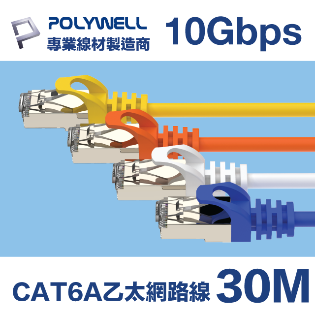 POLYWELL CAT6A 高速乙太網路線 S/FTP 10Gbps 30M