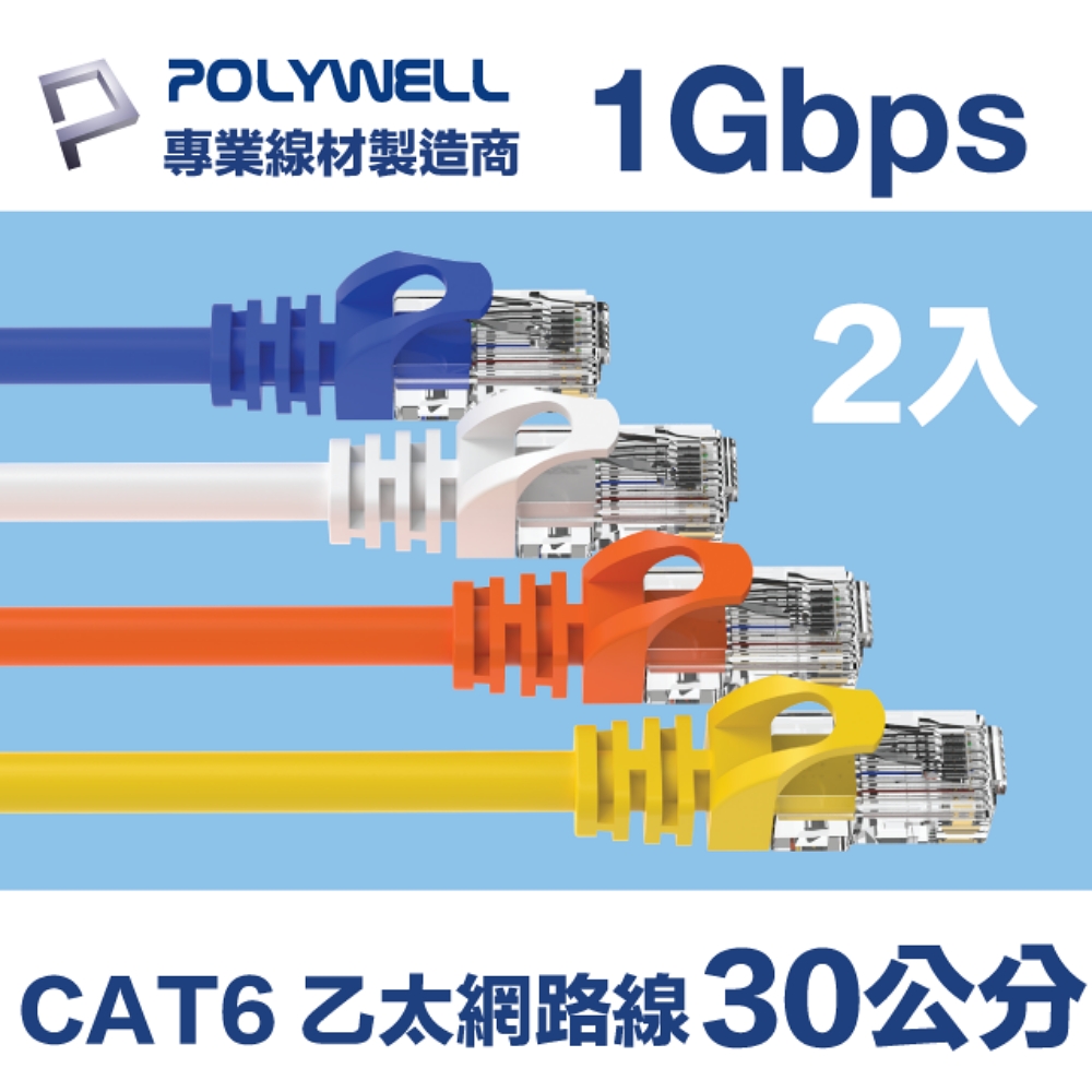 POLYWELL CAT6 網路線 0.3M (2入)