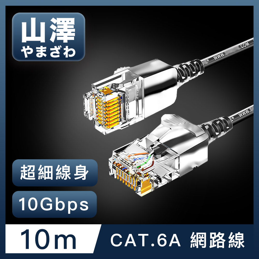 山澤 Cat.6A 10Gbps超高速傳輸八芯雙絞鍍金芯極細網路線 黑/10M