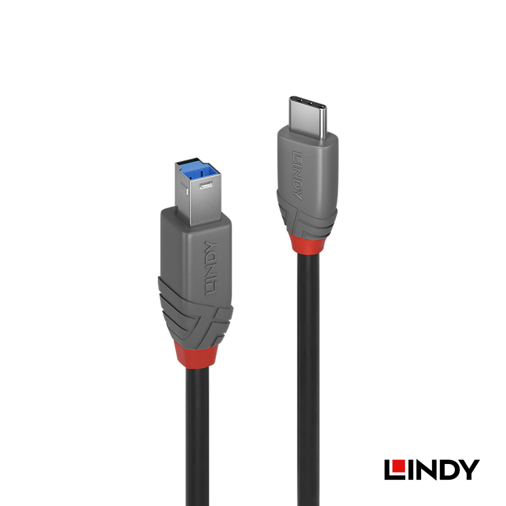 【LINDY 林帝】Type C to B USB3.2 傳輸線 1M