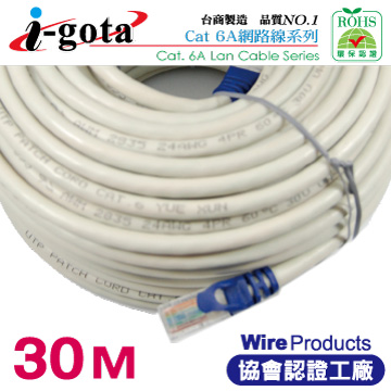 i-gota CAT6A超高速網路傳輸線 30M(RJ-MW6A-030)