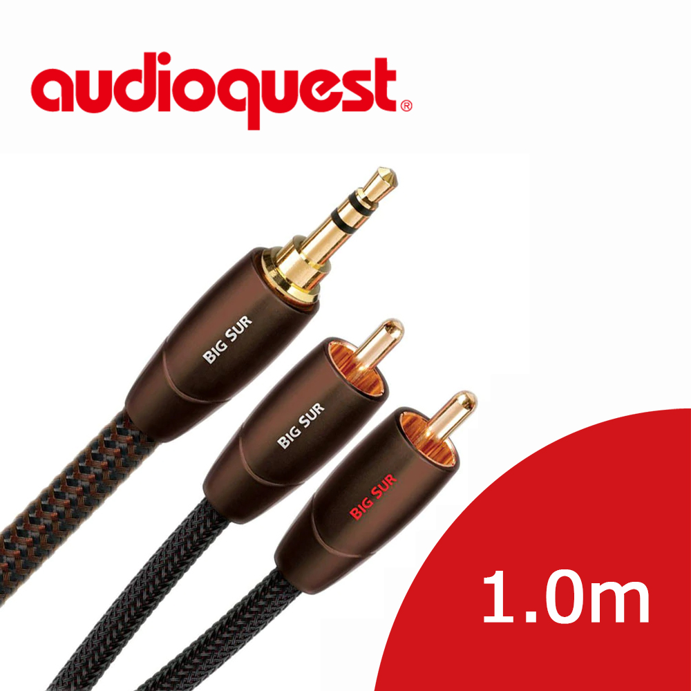 美國線聖 Audioquest BIG SUR (3.5mm-RCA) 音源訊號線 1.0m