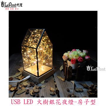 USB LED 火樹銀花夜燈-房子型(C-WF-LED022)