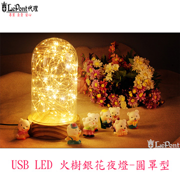 USB LED 火樹銀花夜燈-圓罩型(C-WF-LED021)