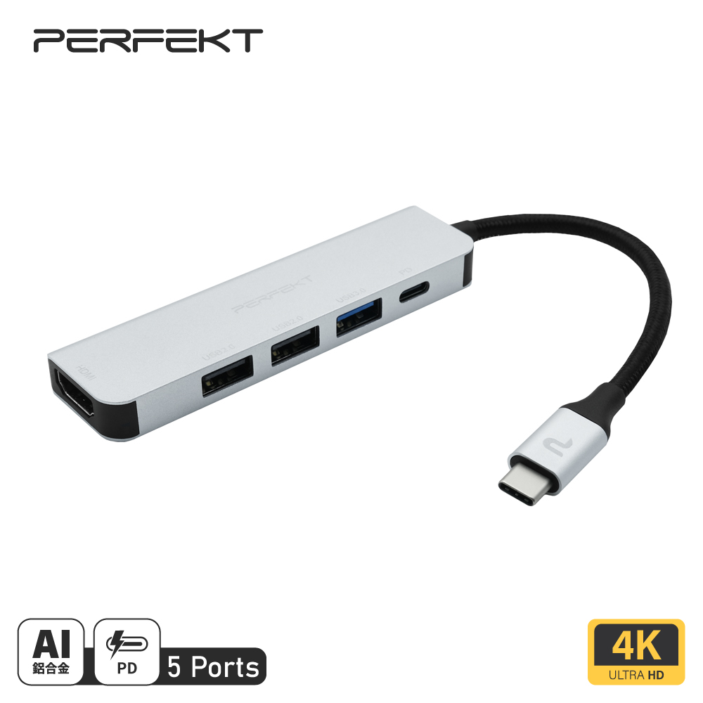 PERFEKT USB-C 5孔 經濟款Hub (PT-68110B)