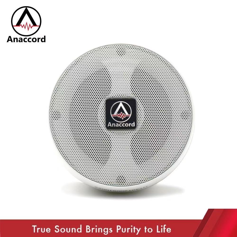 Anaccord 雅那歌音響 IPX66防水系列 4吋壁掛/吊掛/戶外式音響 內含變壓器 (HT-40T)