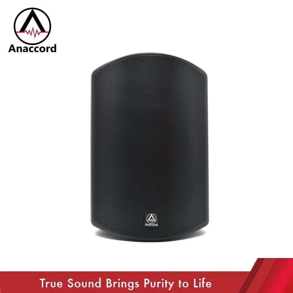 Anaccord 雅那歌音響 8吋壁掛式音響 IPX66防水系列 重低音音響喇叭 內含變壓器 (DG-80T)